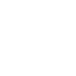 Youtube Icon